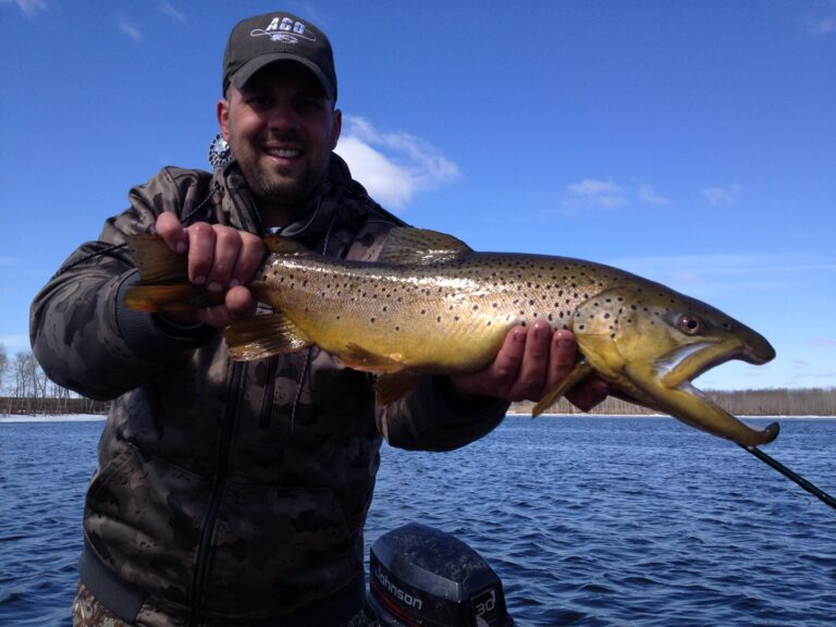 Fly Fishing Opportunities from Pristine Streams to Old Farm Ponds